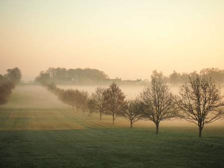Morning sunrise and fog and mist on the fields in Royal Windsor Great Park, England, UKの写真素材