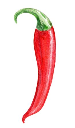 watercolor red chili pepper isolated on white background. spicy hotの写真素材