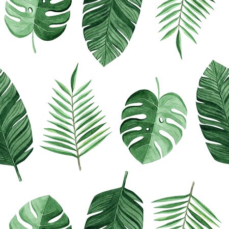 watercolor green tropical palm and monstera leaves seamless pattern on white background for...