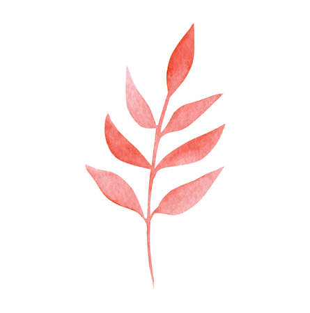 watercolor red branch with leaves isolated on white background. For autumn wedding invitations design, fabric, cardsの写真素材