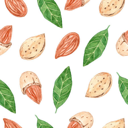 watercolor almond nuts seamless pattern on white background for fabric, textile, branding, wrapping paperの写真素材