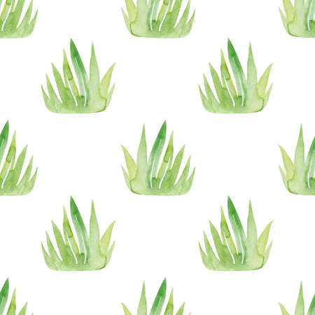 watercolor green grass seamless pattern on white background. For fabric, textile, wrapping, scrapbook, wallpaperの写真素材