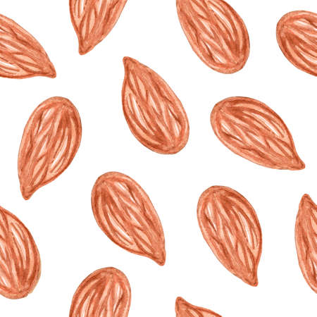 Watercolor brown almond peeled nuts seamless pattern on white backgroundの写真素材