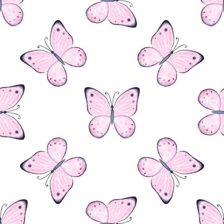 watercolor pink butterflies seamless pattern on white backgroundの写真素材