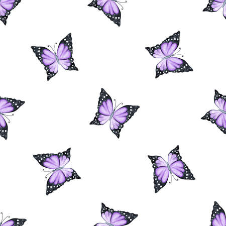 Watercolor purple butterflies seamless pattern on white backgroundの写真素材