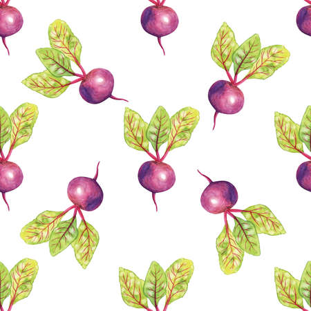Watercolor beetroot vegetable seamless pattern on white backgroundの写真素材