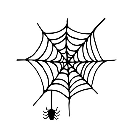Spider and cobweb doodle vector illustration isolated on white backgroundのイラスト素材