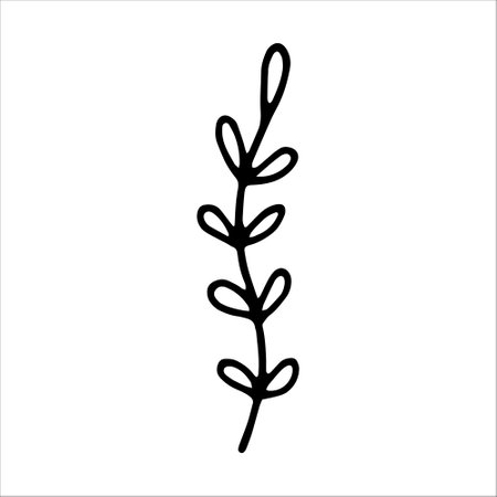 Hand drawn branch with leaves doodle vector illustration isolated on white backgroundのイラスト素材