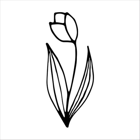 Tulip flower doodle style vector illustration isolated on white backgroundのイラスト素材