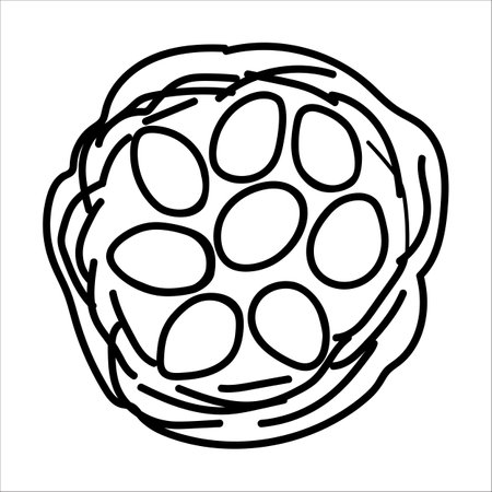Nest with eggs doodle vector illustration isolated on white background.のイラスト素材