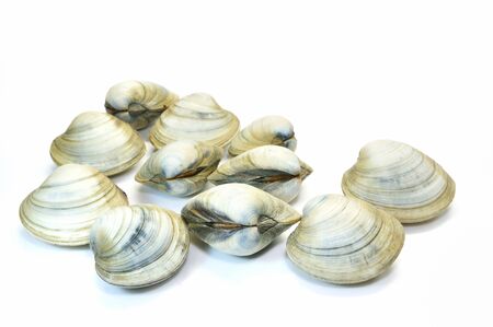 Phone binos shellの写真素材