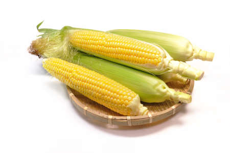 Corn against a white background