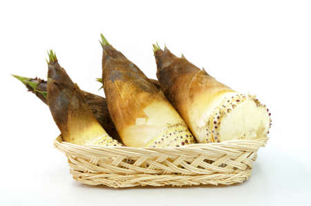 Bamboo shoots on white backgroundの写真素材
