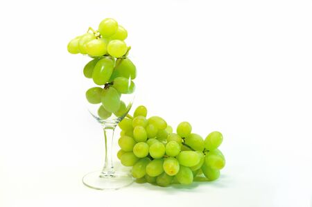 Thompson's white backgroundの写真素材