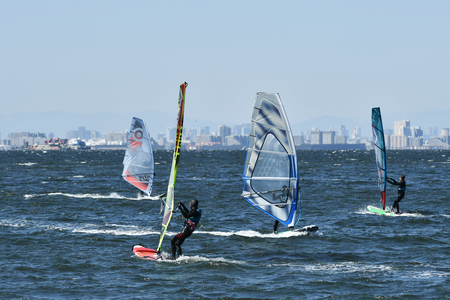 Tokyo Bay windsurfersのeditorial素材