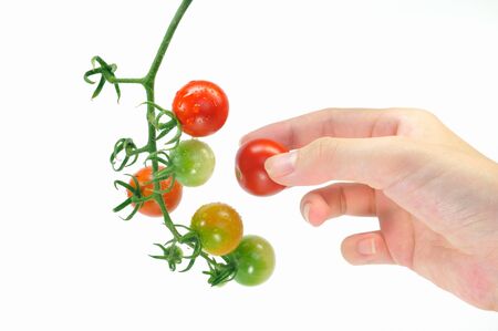 Cherry tomatoes on a white backgroundの写真素材