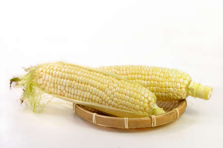 Cornの写真素材