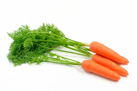 Carrotの写真素材