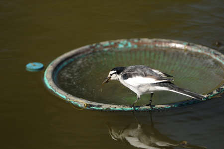 Sekireiの写真素材