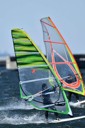 Windsurfer