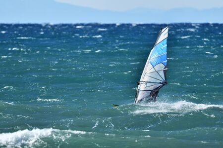 Windsurfer