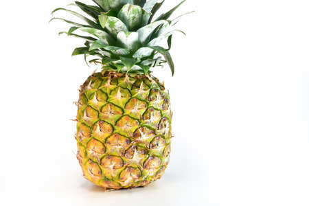 Pineappleの写真素材