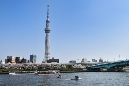 Sumida River in the springのeditorial素材