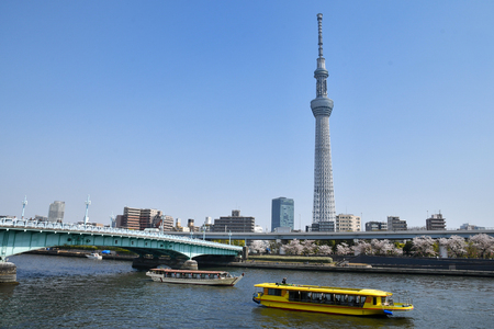 Sumida River in the springのeditorial素材