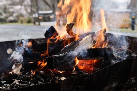 Camp Bonfire