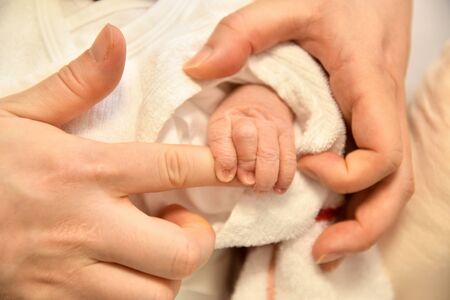 Mom and Baby's Handsの写真素材