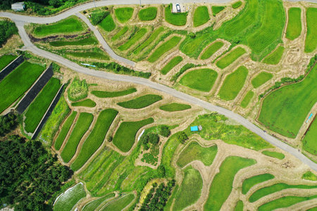 Rice terraces in obasuteの写真素材
