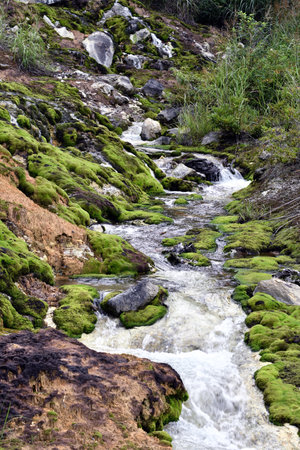 Chatsbomigoce Parkの写真素材