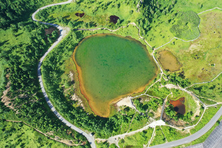 Aerial view of a lake in the middle of the forest.の写真素材