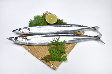 Sardines with lime and thuja on a white backgroundの写真素材