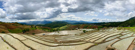 Green Terraced Rice Field in Pa Pong Pieng, Mae Chaem, Chiang Mai Province, Thailandの写真素材