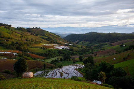 Green Terraced Rice Field in Mae Chaem, Chiang Mai Province, Thailandの写真素材