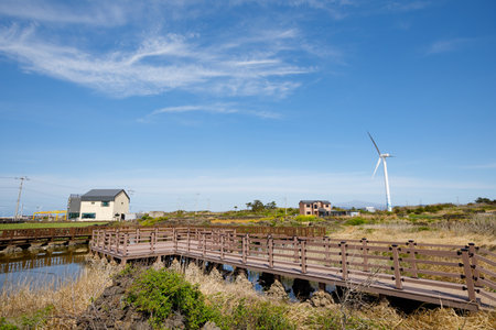 Jeju Island Sinchang Windmill Coastal Roadの写真素材