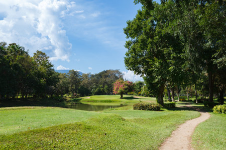 Golf course with blue sky backgroundの写真素材