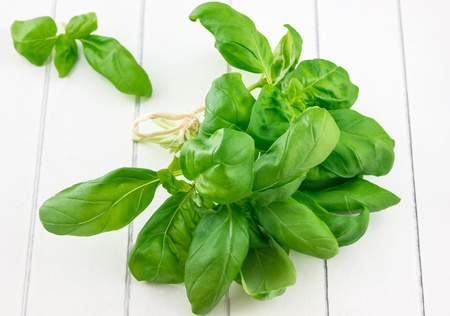 Fresh basil leaves on white backgroundの写真素材