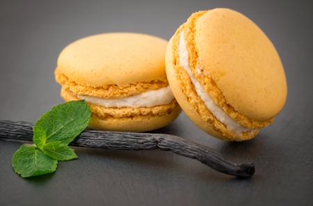 Macaroons with vanilla beansの写真素材