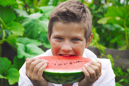 Baby beautiful have watermelon red in nature in summer and fallの写真素材
