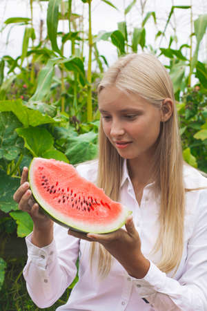 Baby beautiful have watermelon red in nature in summer and fallの写真素材
