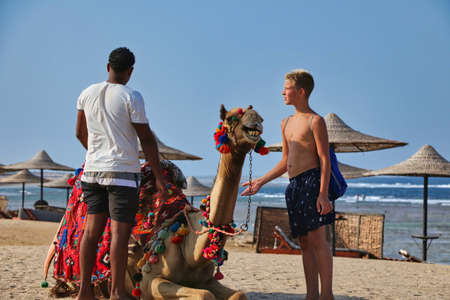 A boy by the sea, on vacation in Egypt, with a gesture of his hand asks the camel driver to ride him on a camelの写真素材