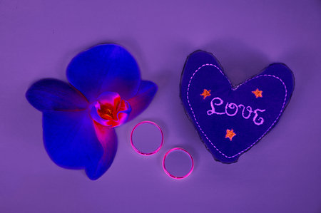 Wedding rings, orchid and heart on a purple backgroundの写真素材