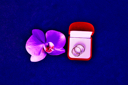 Wedding rings and orchid flower on blue background. Close-up.