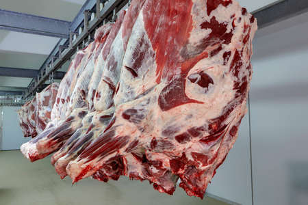 meat industryの写真素材