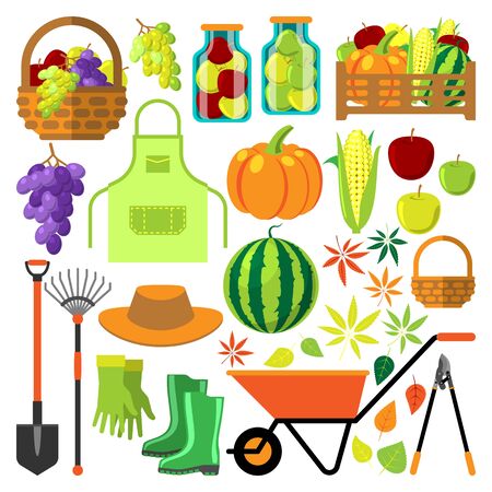 Harvest flat vector set.のイラスト素材