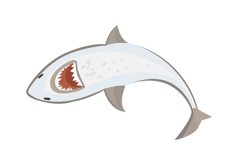 Vector shark character.のイラスト素材