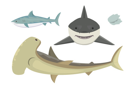 shark character.のイラスト素材