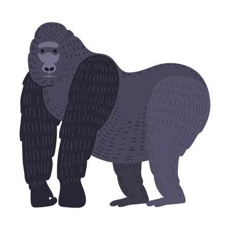 Gorila monkey rare animal vector.のイラスト素材